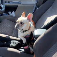 開いたドアをチラリ