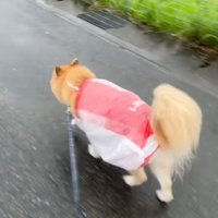 温かな笑いがあふれる一幕でした