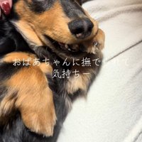 おばあちゃんに撫でてもらうレオくん