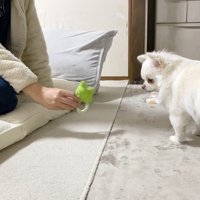 遊びに誘うパパさん
