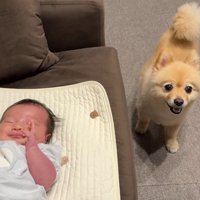 愛と優しさにほっこり♡