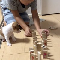 かいとくん「じーっ…」