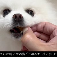 「ごめんね…痛かった？」