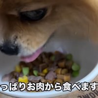喜んで食べています！