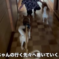 微笑ましい光景にホッコリ♡