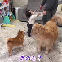 我先にと手を伸ばす