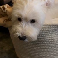 ミルクを飲んでいる時もそばに