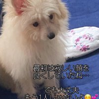 最初のころのこてつくん