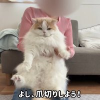 続いて爪切りをします