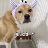 「これは正解なん？」