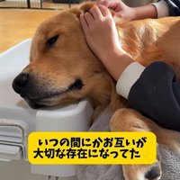 アルトくんと子どもたちの日常⑩
