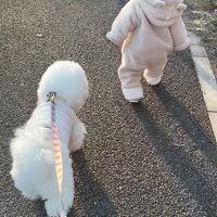 ショーンくんと子どもたち2