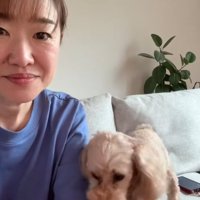 飼い主をつつく小型犬