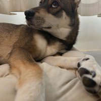 あざとい上目遣いも使いこなす！