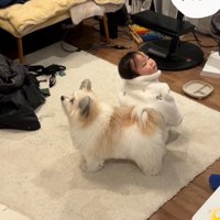 警戒する小太郎くん