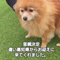 家族の近くで止まる犬
