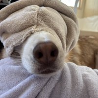 目隠し