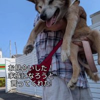 里親さんが見つかった