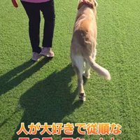 初めてドッグランへ行くと…