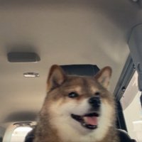 ニパッ