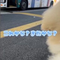 お姉さんを迎えに来たボンドくん5