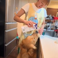 哺乳瓶に犬用ミルクを入れる飼い主