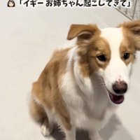 「了解っ」