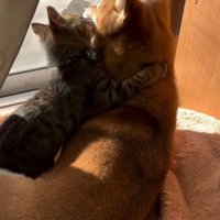 あんずちゃんが大好きなゆずくん