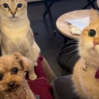 羨ましい一幕でした！