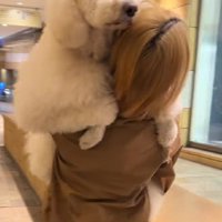 抱っこで移動することに！