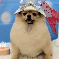 逞しすぎる…！！