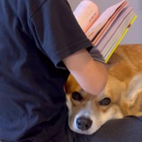 ナデナデが心地よい…♡