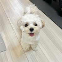 にっこり