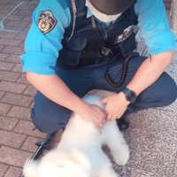 紳士的な気遣いに感動