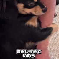 腕にしがみついて寝ることも