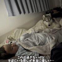 眠る赤ちゃんを遠くから見つめる犬