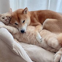 なんだかんだ仲良し♡