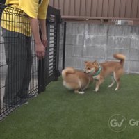 喜びが止まらない…！