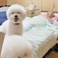 2匹との絆に感動…