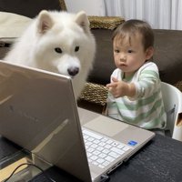 会議