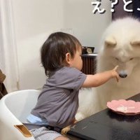 うどんをおすそわけ