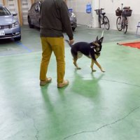 華麗に避けます！