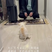 自力で進むプリンちゃんに涙…