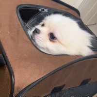 木ノ葉丸くんとの出会い5