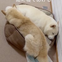 窮屈だけど、あたたかい空間