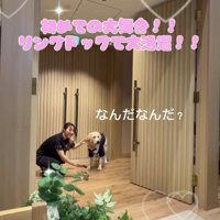 式場の中を見て動きを止める犬