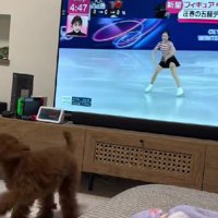 「ほらね、上手でしょ」