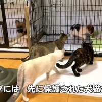 みんな興味津々！