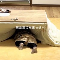 女の子もこたつの中へ♡