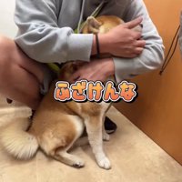 「ふざけんな！」